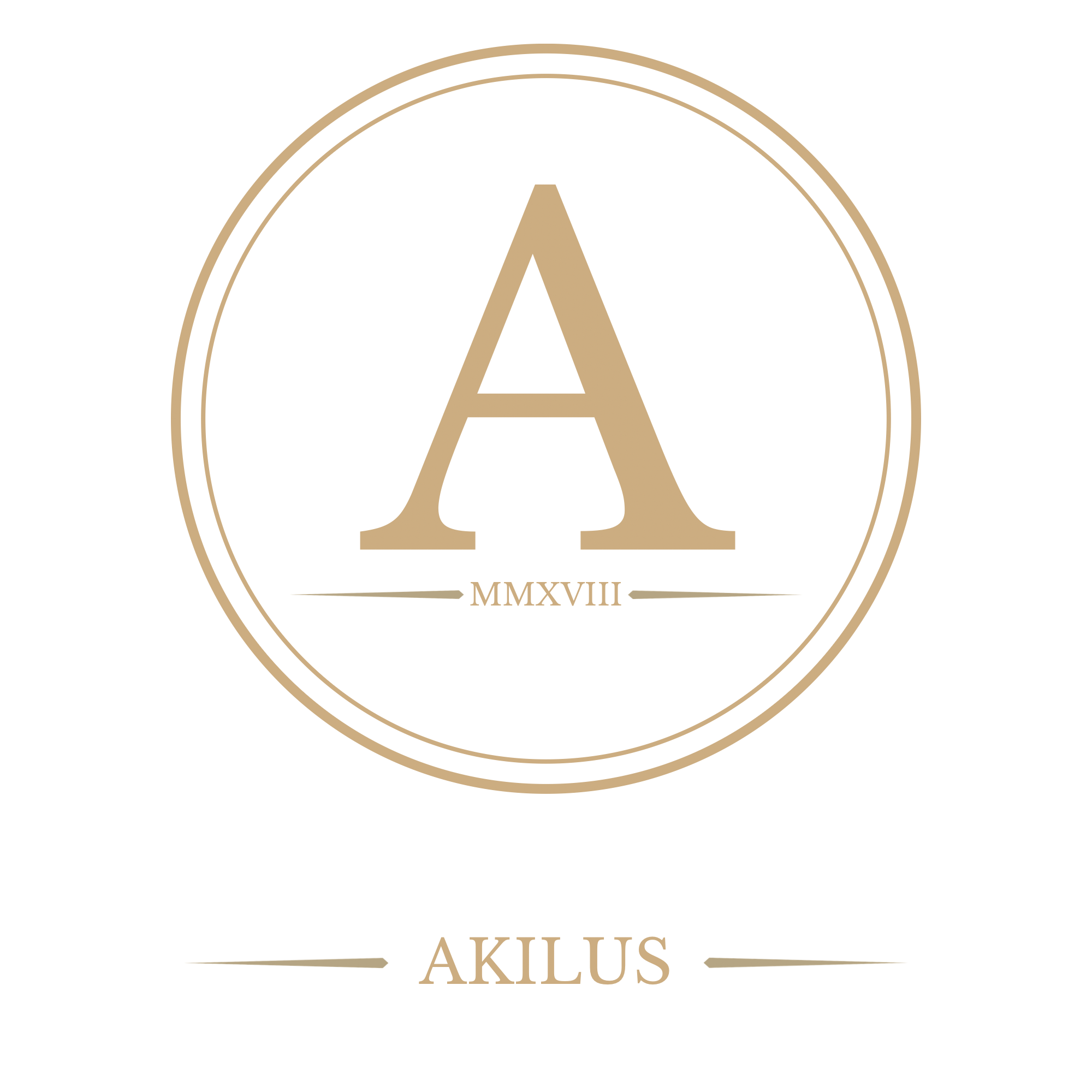 AKILUS Consulting – International Academic Advisory