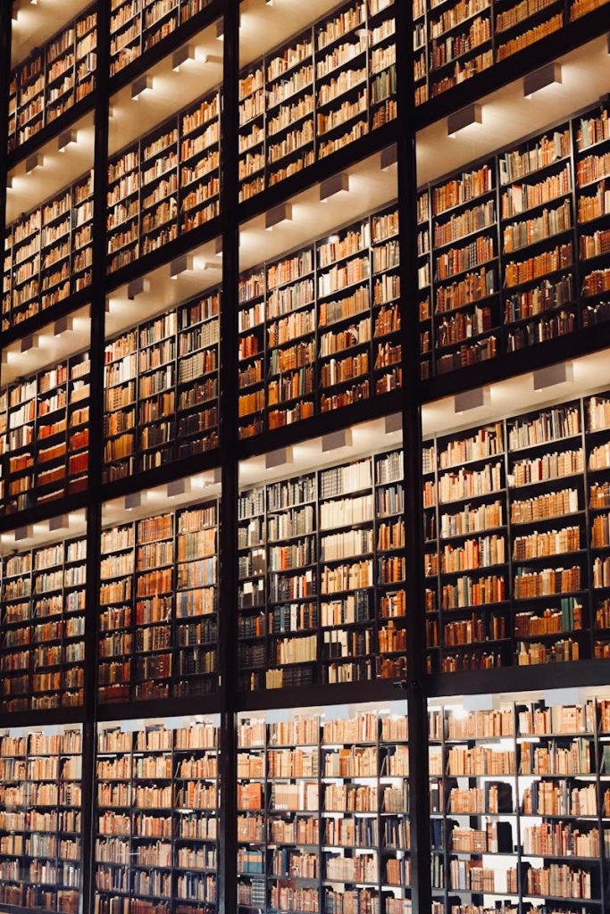 A high view of towering bookshelves in a New Haven library, emphasizing knowledge and literature.