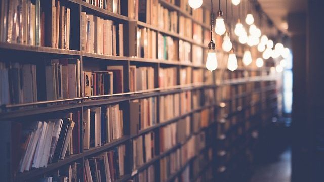 books, library, room, school, study, knowledge, education, shelf, light, bulb, books, books, books, library, library, library, library, library, school, school, school, study, study, education, education